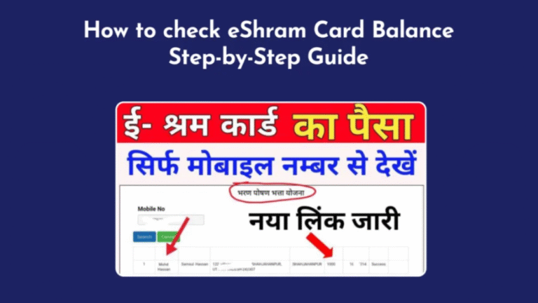 check e Shram Card Balance